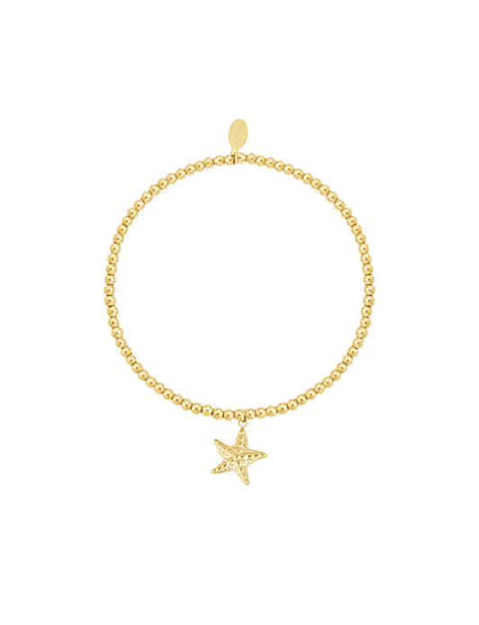 Kleine zeester armband