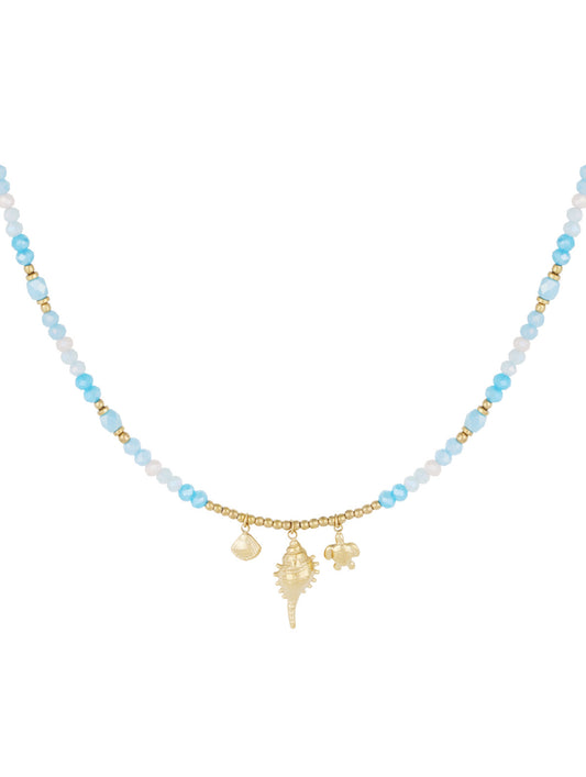 Shell show ketting